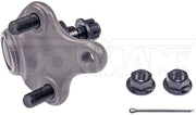 Suspension Ball Joint Dorman-OE Solutions 539-920