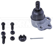 Suspension Ball Joint Dorman-OE Solutions 539-953