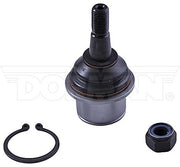 Suspension Ball Joint Dorman-OE Solutions 539-970