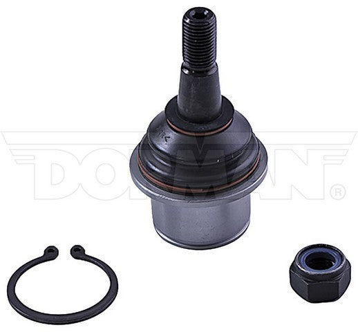Suspension Ball Joint Dorman-OE Solutions 539-970