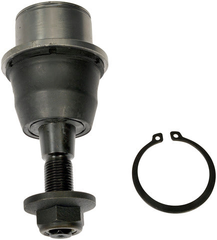 Suspension Ball Joint Dorman-OE Solutions 539-979