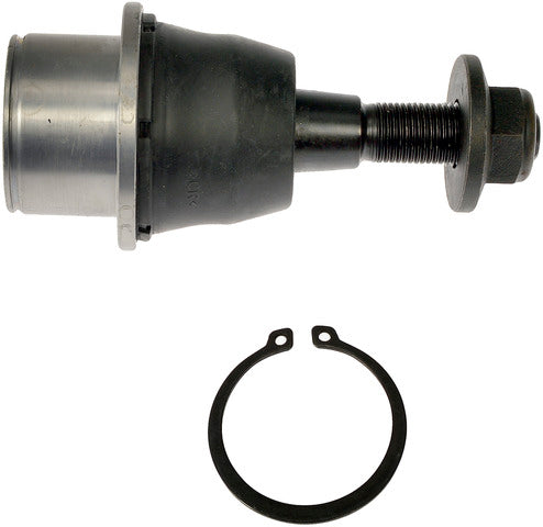 Suspension Ball Joint Dorman-OE Solutions 539-979
