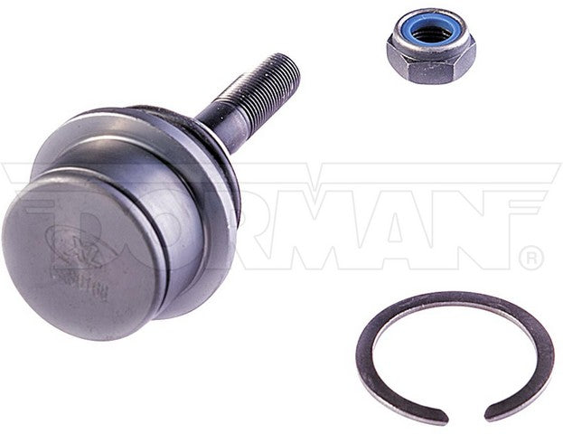 Suspension Ball Joint Dorman-OE Solutions 539-984