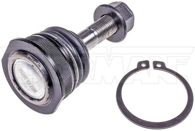 Suspension Ball Joint Dorman-OE Solutions 539-989