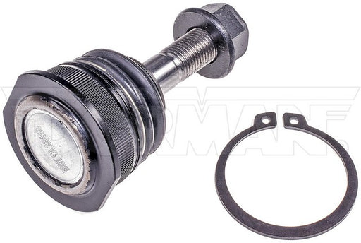 Suspension Ball Joint Dorman-OE Solutions 539-989