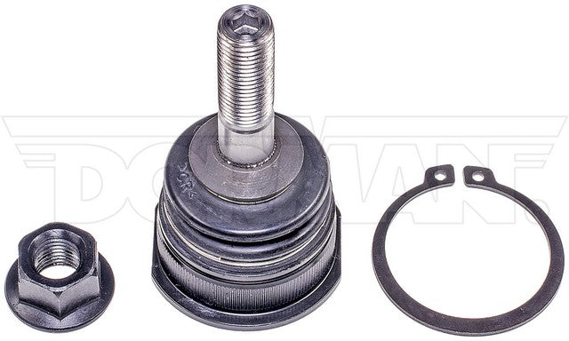 Suspension Ball Joint Dorman-OE Solutions 539-989