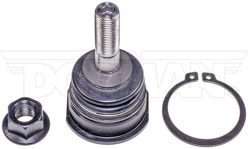 Suspension Ball Joint Dorman-OE Solutions 539-989