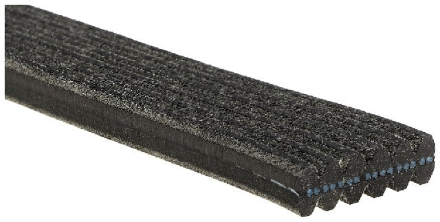 Serpentine Belt Gates DK060859
