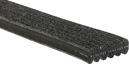 Serpentine Belt Gates DK060867