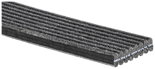 Serpentine Belt Gates DK080568