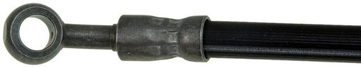 Brake Hydraulic Hose Dorman-First Stop H116951