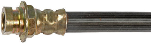 Brake Hydraulic Hose Dorman-First Stop H36813