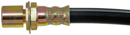 Brake Hydraulic Hose Dorman-First Stop H36980