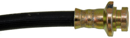 Brake Hydraulic Hose Dorman-First Stop H380019