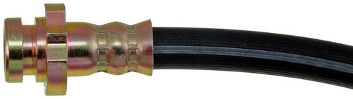 Brake Hydraulic Hose Dorman-First Stop H38010