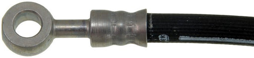 Brake Hydraulic Hose Dorman-First Stop H380548
