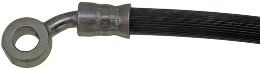Brake Hydraulic Hose Dorman-First Stop H381049