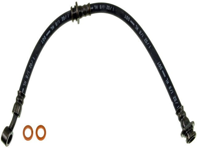 Brake Hydraulic Hose Dorman-First Stop H381101