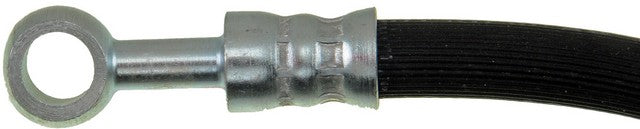 Brake Hydraulic Hose Dorman-First Stop H38468