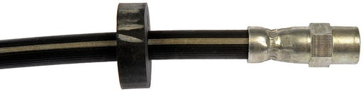 Brake Hydraulic Hose Dorman-First Stop H38479