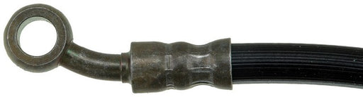 Brake Hydraulic Hose Dorman-First Stop H38496