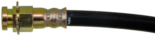 Brake Hydraulic Hose Dorman-First Stop H38582