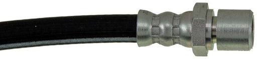 Brake Hydraulic Hose Dorman-First Stop H38599