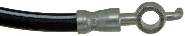 Brake Hydraulic Hose Dorman-First Stop H38754