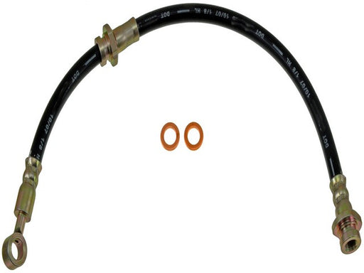 Brake Hydraulic Hose Dorman-First Stop H38843