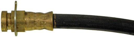 Brake Hydraulic Hose Dorman-First Stop H38889