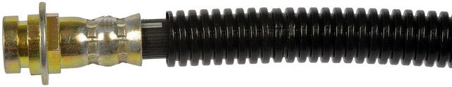 Brake Hydraulic Hose Dorman-First Stop H620800