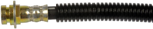 Brake Hydraulic Hose Dorman-First Stop H620800