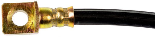 Brake Hydraulic Hose Dorman-First Stop H620821