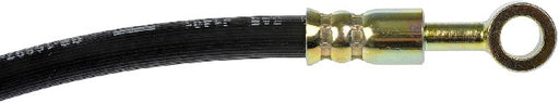 Brake Hydraulic Hose Dorman-First Stop H621203