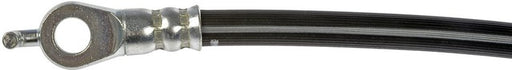 Brake Hydraulic Hose Dorman-First Stop H621424