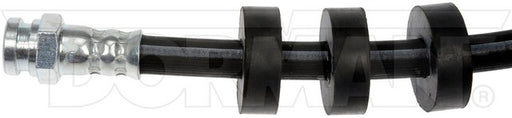Brake Hydraulic Hose Dorman-First Stop H621985