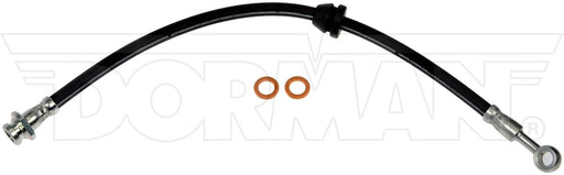 Brake Hydraulic Hose Dorman-First Stop H629035
