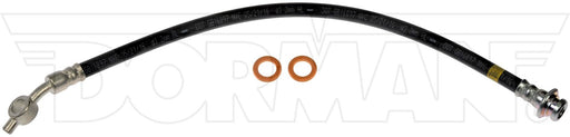 Brake Hydraulic Hose Dorman-First Stop H629080