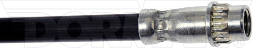 Brake Hydraulic Hose Dorman-First Stop H629125