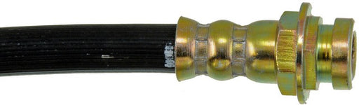 Brake Hydraulic Hose Dorman-First Stop H71319