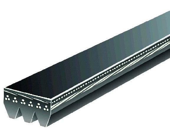 Serpentine Belt Gates K030390