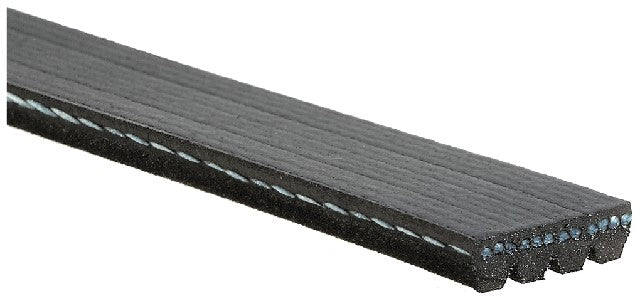 Serpentine Belt Gates K040268