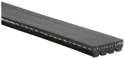 Serpentine Belt Gates K040331SF