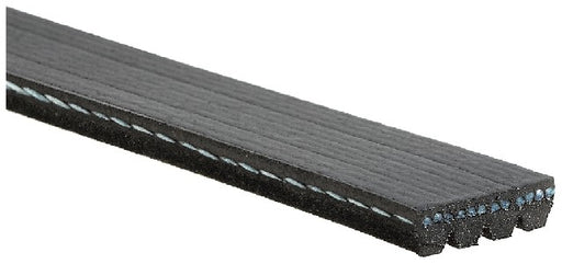 Serpentine Belt Gates K040335SF