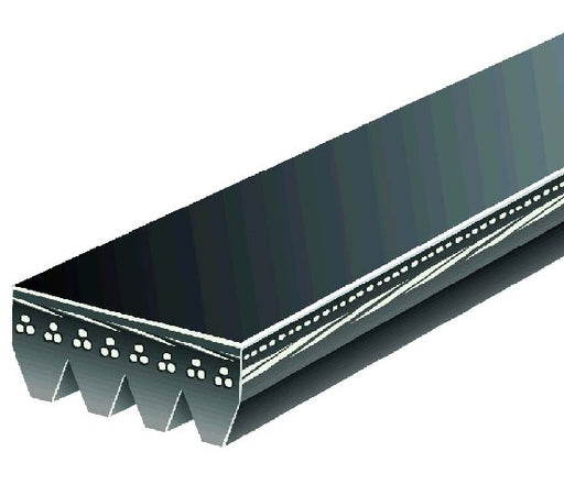 Serpentine Belt Gates K040418