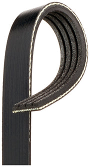 Serpentine Belt Gates K040434A