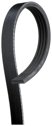 Serpentine Belt Gates K040570