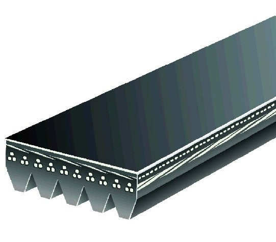 Serpentine Belt Gates K050538