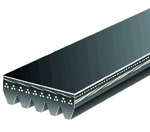 Serpentine Belt Gates K050650