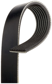 Serpentine Belt Gates K070407A